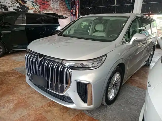 Voyah Auto Voyah Dreamer 2024