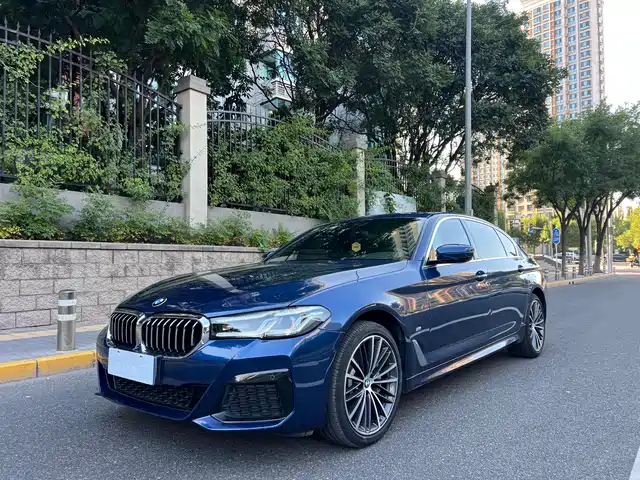 BMW BMW 5 Series 2020