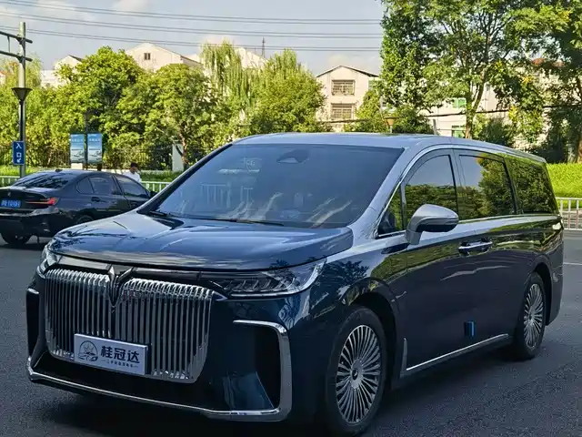 Voyah Auto Voyah Dreamer 2025