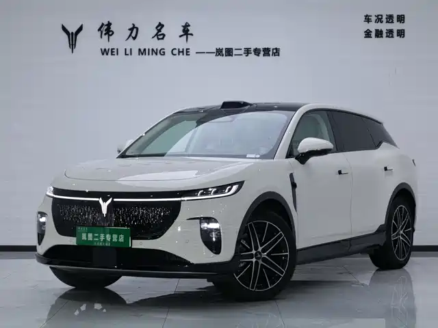 Voyah Auto Voyah Zhiyin 2025