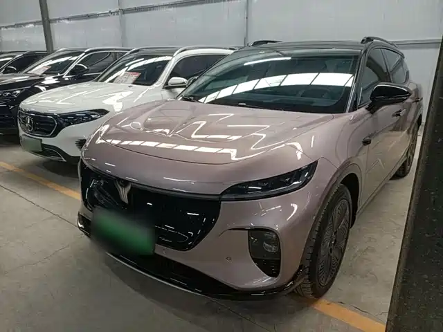 Voyah Auto Voyah Zhiyin