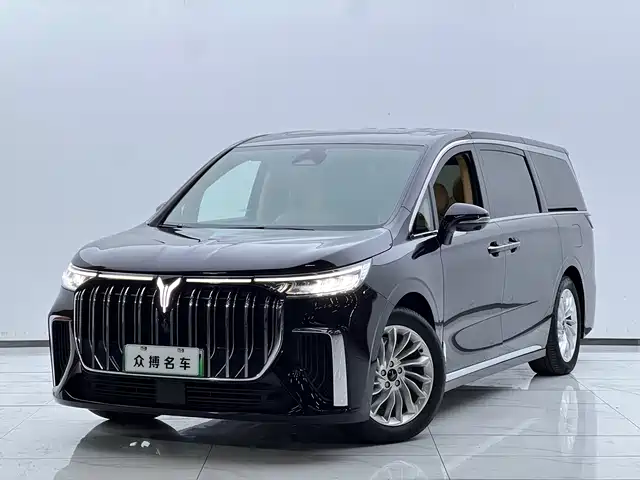 Voyah Auto Voyah Dreamer 2024