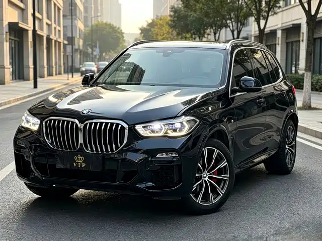BMW BMW X5 (Import) 2019