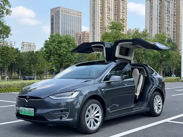 Tesla Model X 2019