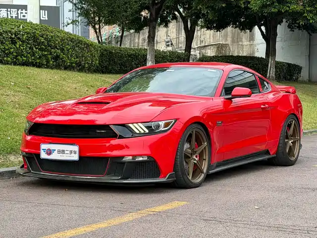 Saleen Saleen Mustang