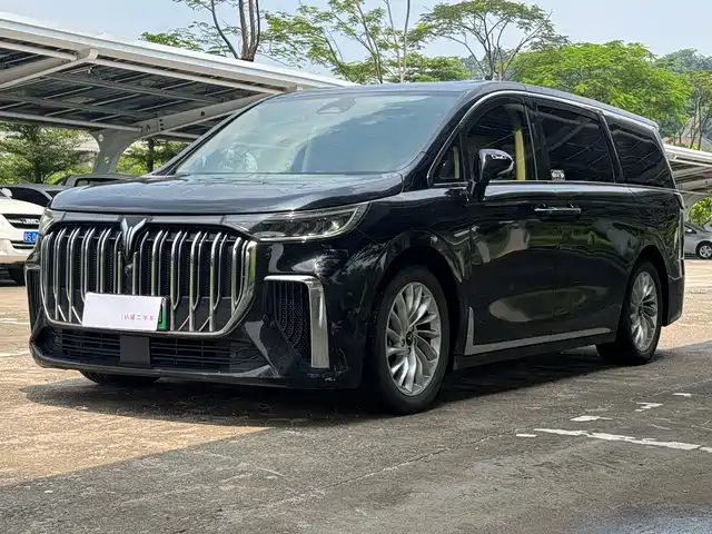 Voyah Auto Voyah Dreamer