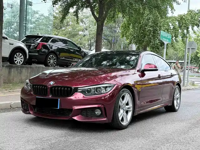 BMW BMW 4 Series 2017
