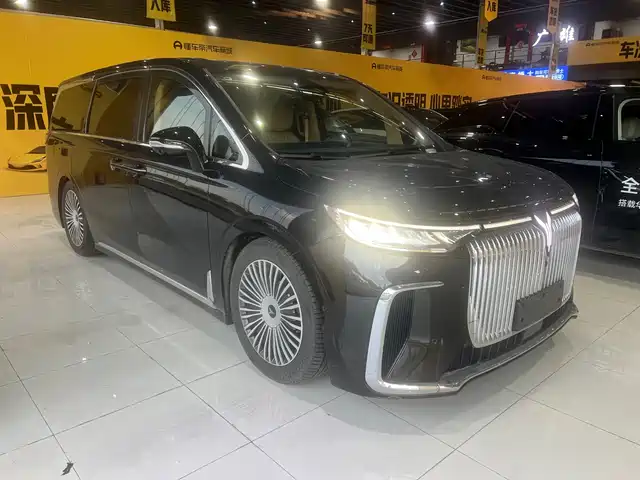 Voyah Auto Voyah Dreamer 2024