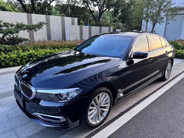 BMW BMW 5 Series 2019
