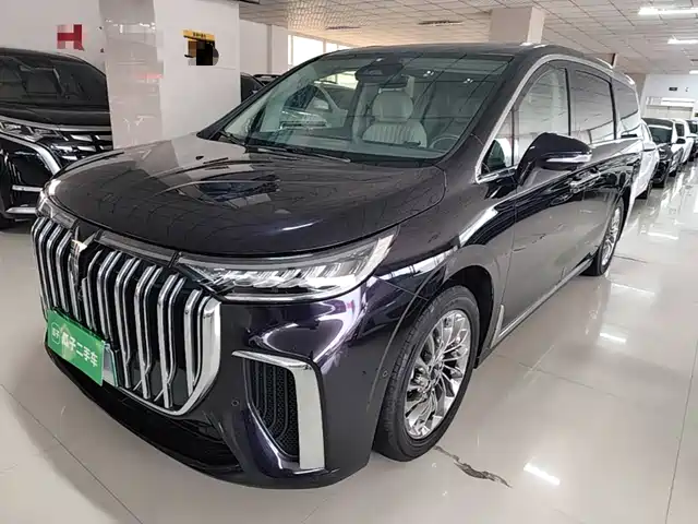 Voyah Auto Voyah Dreamer 2022