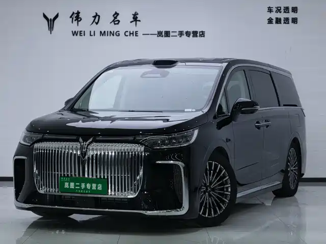 Voyah Auto Voyah Dreamer 2025