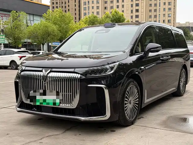 Voyah Auto Voyah Dreamer 2025