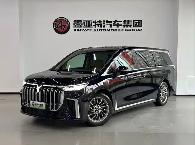 Voyah Auto Voyah Dreamer 2024
