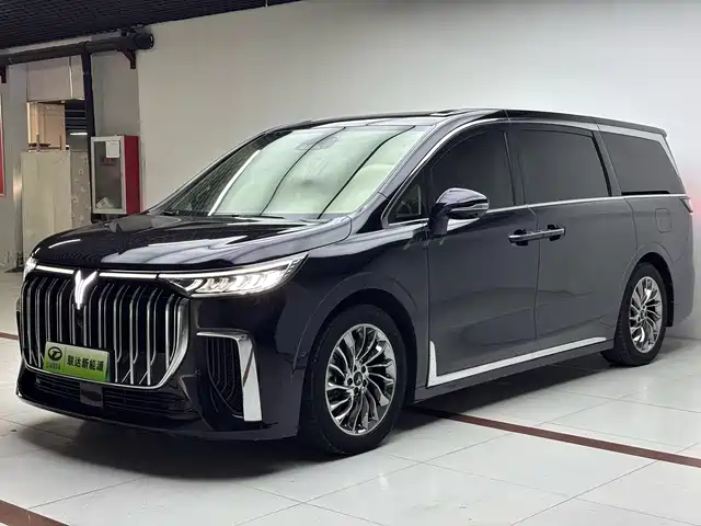 Voyah Auto Voyah Dreamer 2023