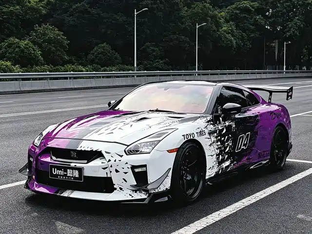 Nissan Nissan GT-R 2009