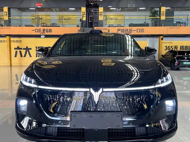 Voyah Auto Voyah Zhiyin 2025