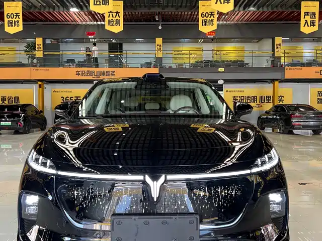 Voyah Auto Voyah Zhiyin
