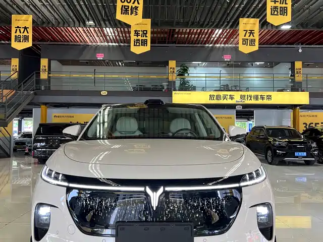 Voyah Auto Voyah Zhiyin 2025