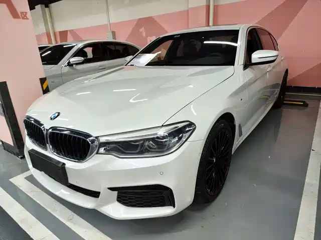 BMW BMW 5 Series 2020