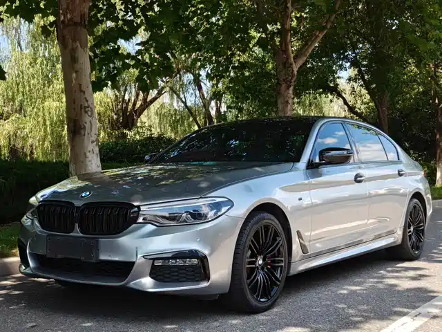 BMW BMW 5 Series 2018