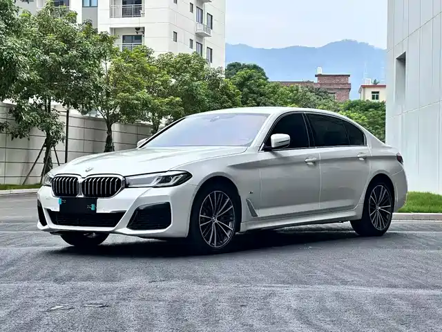 BMW BMW 5 Series 2020