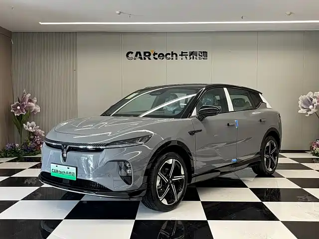Voyah Auto Voyah Zhiyin —