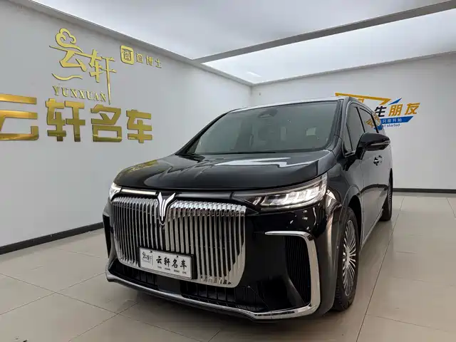 Voyah Auto Voyah Dreamer 2025