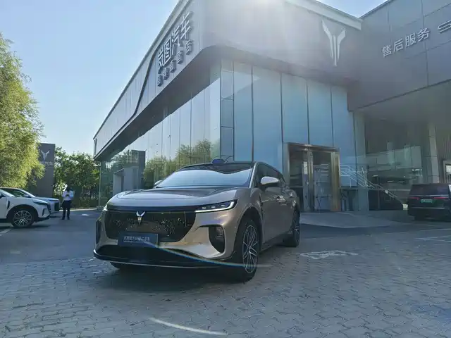 Voyah Auto Voyah Zhiyin 2025