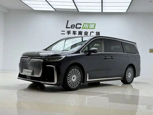 Voyah Auto Voyah Dreamer 2024