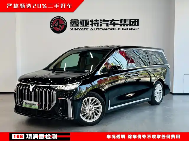 Voyah Auto Voyah Dreamer 2024