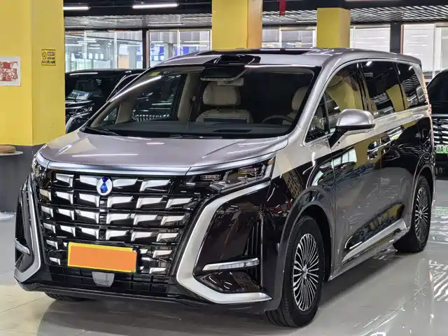 Denza Denza D9