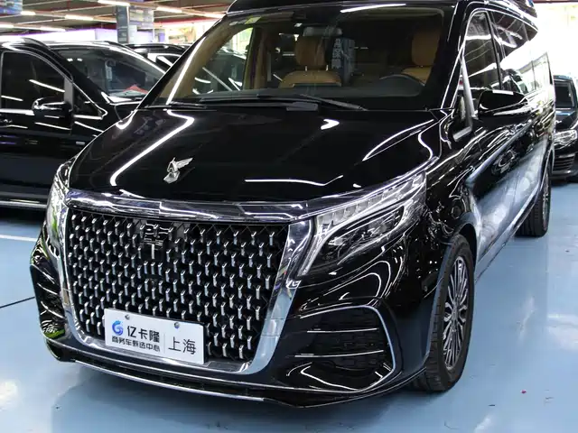 Yasheng Auto Yasheng V-Class