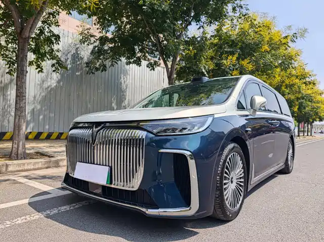 Voyah Auto Voyah Dreamer 2025