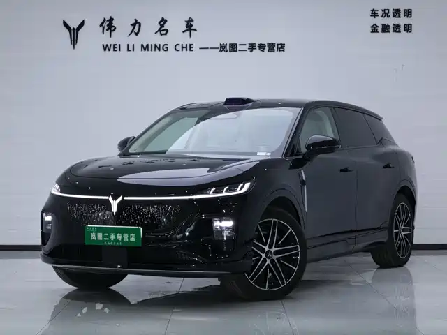 Voyah Auto Voyah Zhiyin 2025
