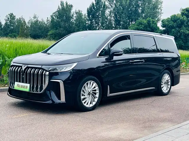 Voyah Auto Voyah Dreamer 2023