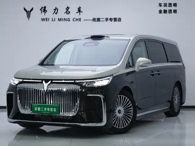 Voyah Auto Voyah Dreamer 2025