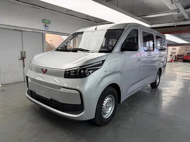 Wuling Motors Wuling Yangguang Pro