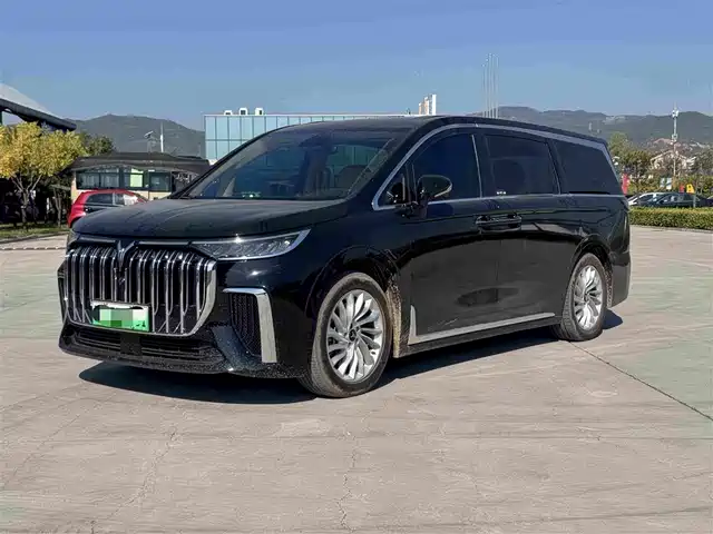 Voyah Auto Voyah Dreamer 2024