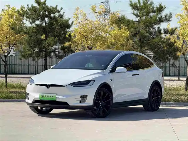 Tesla Model X 2021