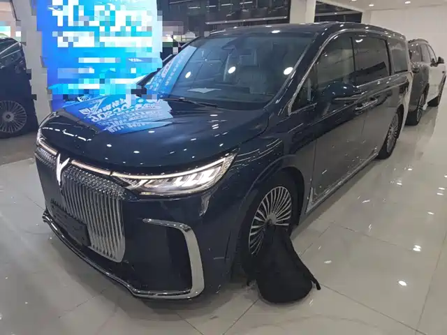 Voyah Auto Voyah Dreamer 2025