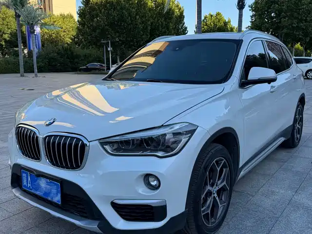 BMW BMW X1 2019