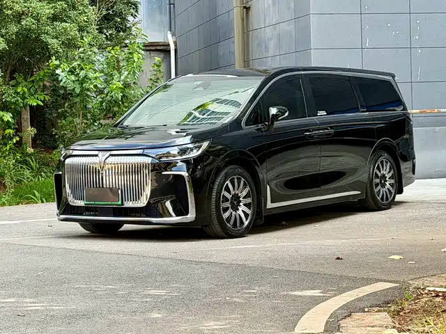 Voyah Auto Voyah Dreamer 2024