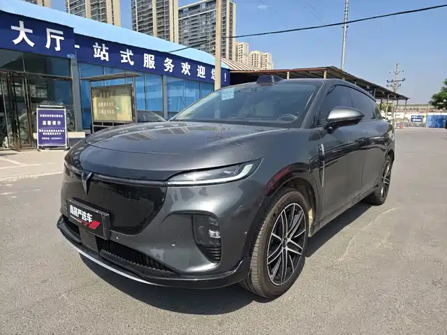 Voyah Auto Voyah Zhiyin 2025