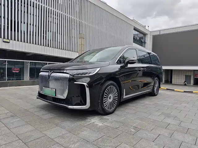 Voyah Auto Voyah Dreamer 2024