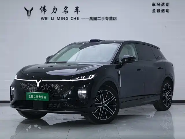 Voyah Auto Voyah Zhiyin 2025