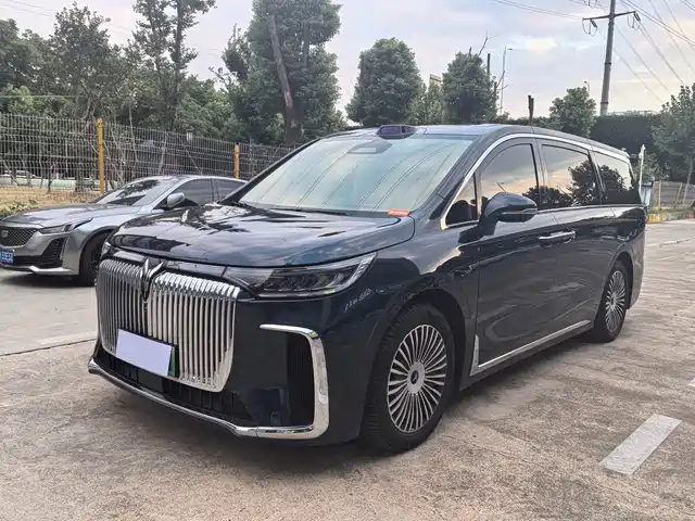Voyah Auto Voyah Dreamer 2025