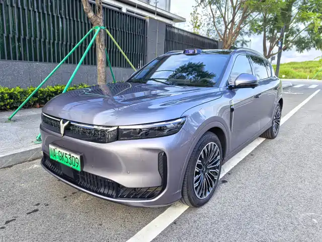 Voyah Auto VOYAH FREE 2025