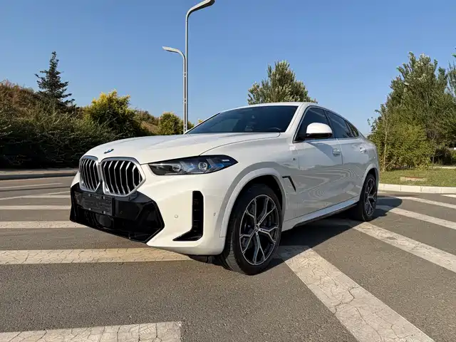 BMW BMW X6