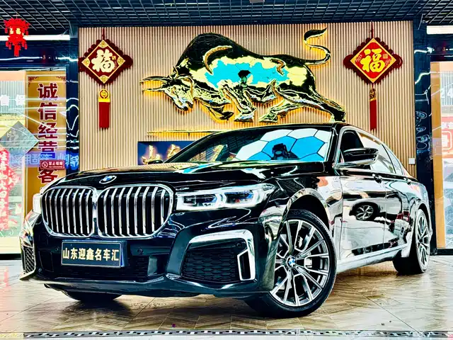 BMW BMW 7 Series 2010