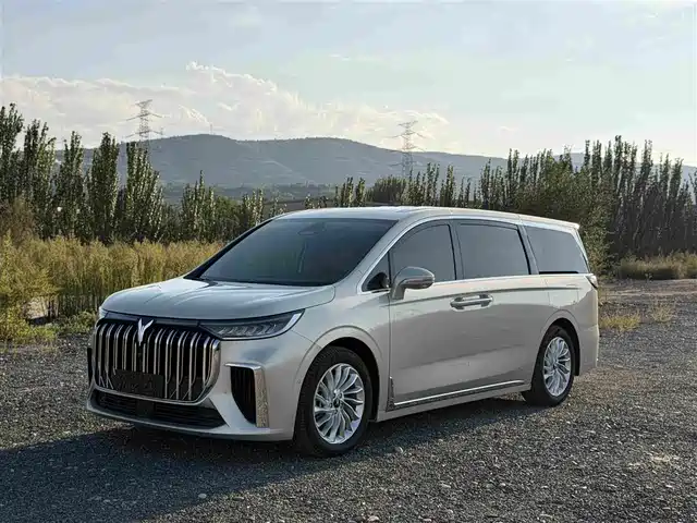 Voyah Auto Voyah Dreamer 2024